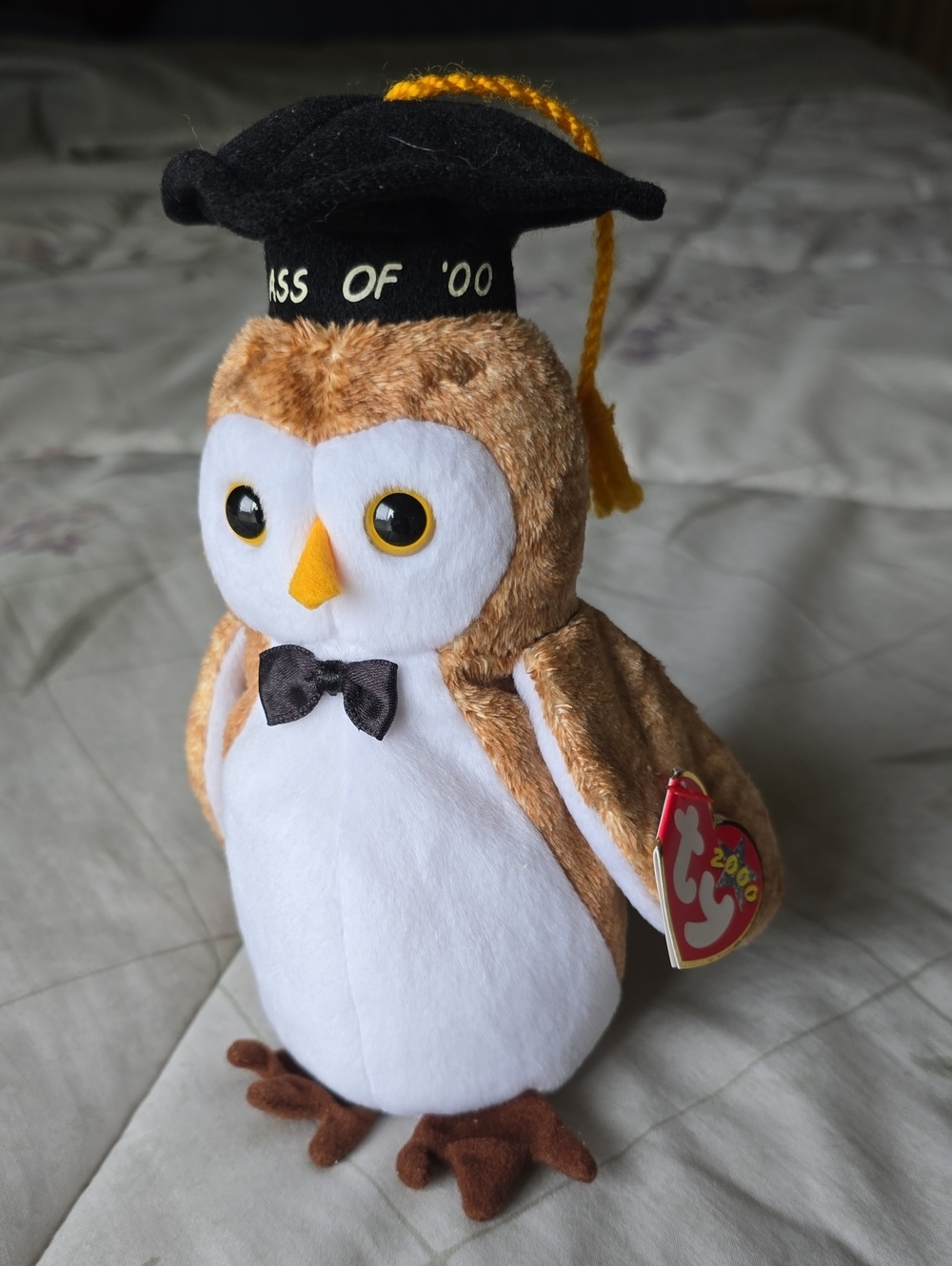 Wisest Owl 🎓🦉 Ty Beanie Baby Graduation Bird 🦉 Gift Kids Toy Collectible NWT